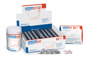 Condrovet Force HA Razas Grandes (80 comprimidos)