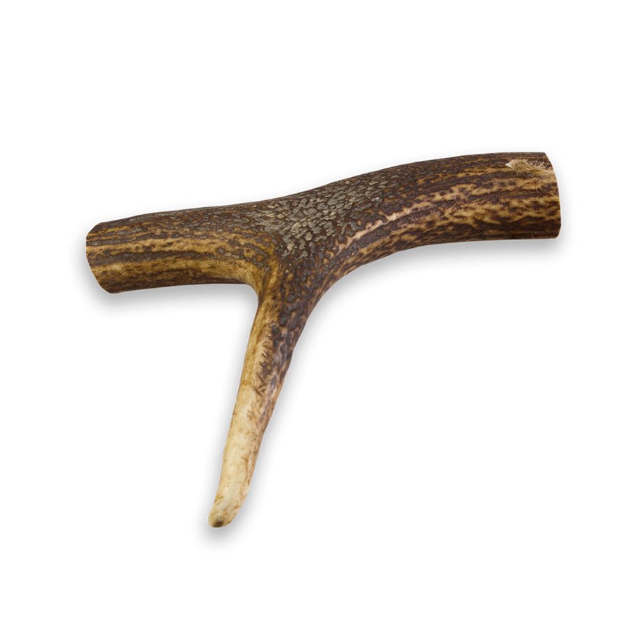 Asta de Ciervo L 80-120g Pack Ahorro 10 unidades